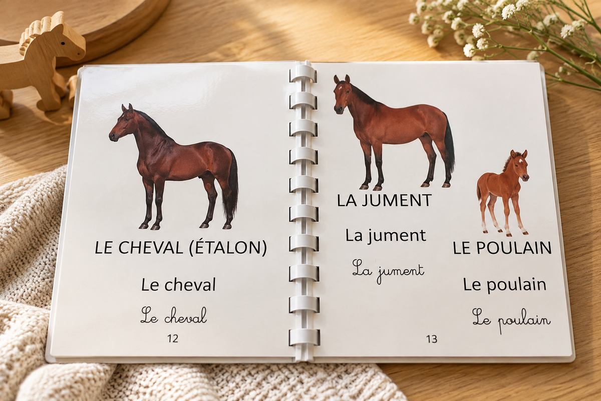 Imagier de la ferme IlyoaCreation ouvert sur les pages du cheval, de la jument et du poulain